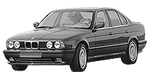 BMW E34 P1B8E Fault Code